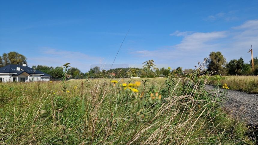 Piękna, Siedliskowa, wśród zieleni. - zdjęcie 1