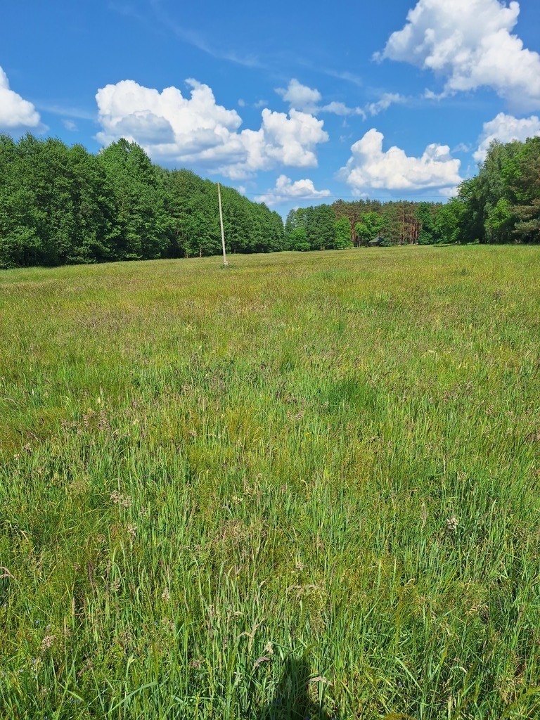 Działka,Tanowo,gm.Police,3166m2,plan-usługi. - zdjęcie 1