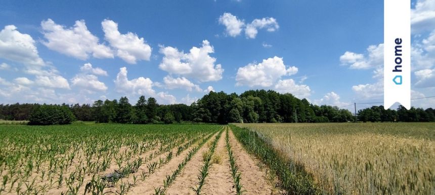 Działki budowlane w Zarośle Cienkie - zdjęcie 1