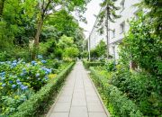 3-pok|blisko centrum|do remontu miniaturka 17