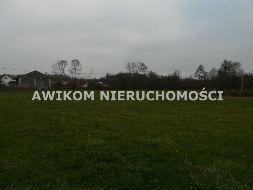 Doleck, 537 574 zł, 1.58 ha, droga dojazdowa asfaltowa miniaturka 8