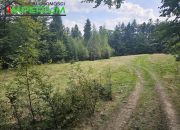 Łomnica-Zdrój, 750 000 zł, 7.9 ha, droga dojazdowa gruntowa miniaturka 7