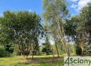 Szczęsne, 540 000 zł, 18 ar, płaska miniaturka 4