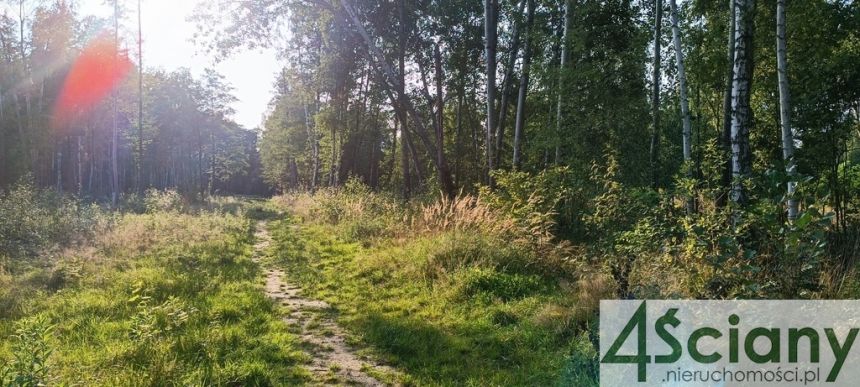 Czarny Las, 2 280 850 zł, 82.94 ar, woda w drodze miniaturka 6