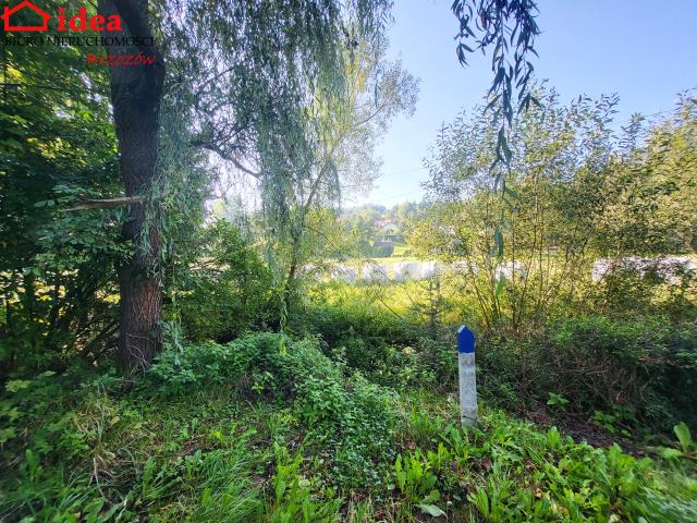 DOM Z LINIĄ BRZEGOWĄ miniaturka 13