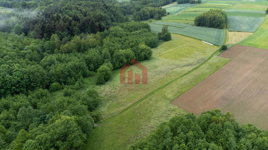 1ha łąki pod lasem + 27 lasu ze strumykiem!Zobacz! miniaturka 14