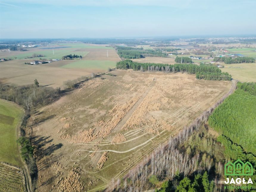 Kołaczkowo Skórzewo 1210m2 jeziora las woda miniaturka 13