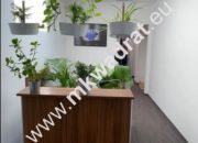 Biuro 130 m - Mokotów super skomunikowane. miniaturka 7