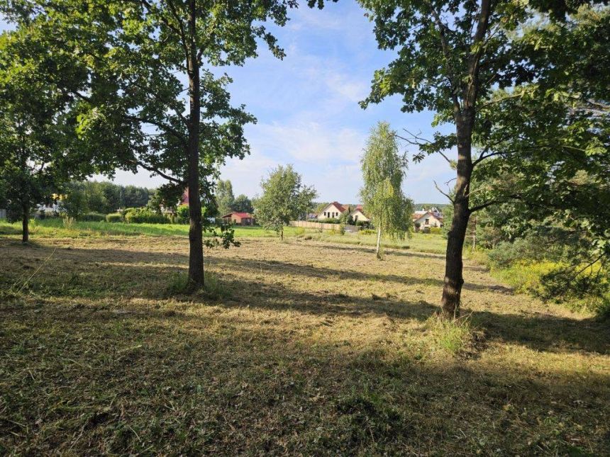 Działka budowlana z własnym lasem miniaturka 3