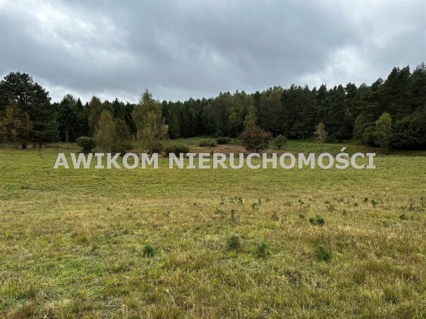 Miastko, 9 490 000 zł, 50 ha, studnia miniaturka 7