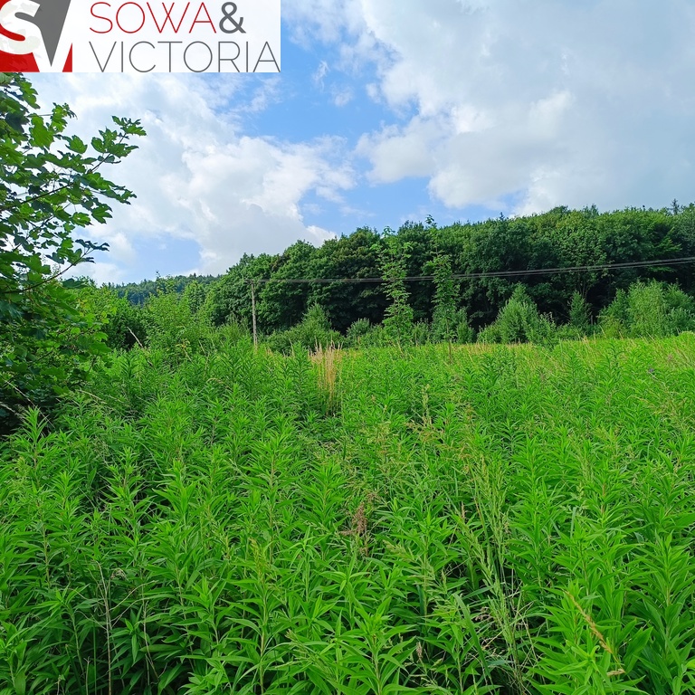 Działka rolna na obrzeżach Świebodzic. miniaturka 2