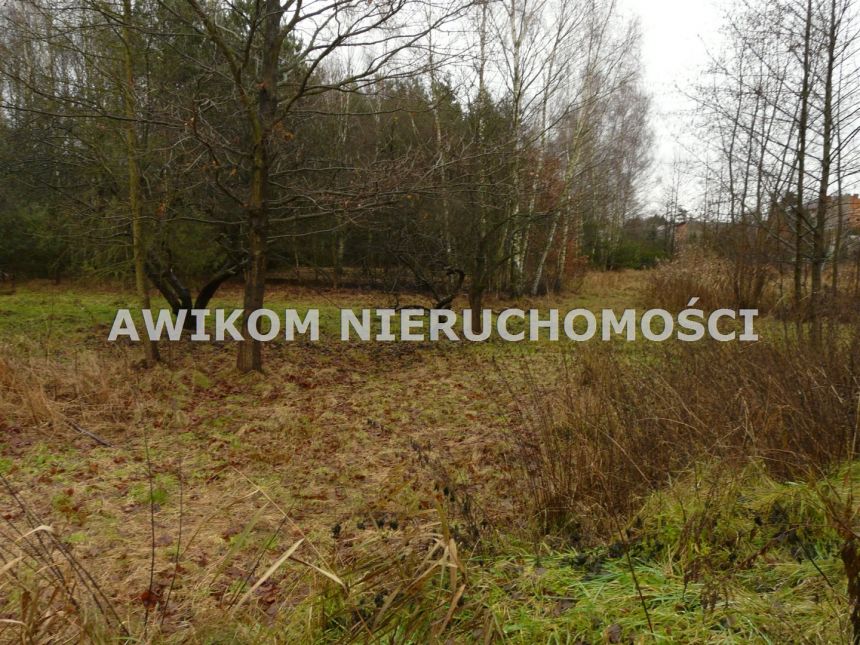 Skierniewice, 138 258 zł, 1.54 ha, rolna - zdjęcie 1