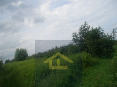 Nadbrzeż, 220 000 zł, 1.15 ha, prostokątna