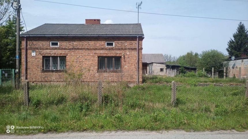 Działka rolno-budowlana - zdjęcie 1