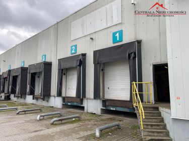 Hale 5800 m2 / 4000 m2/ 1800 m2/ biura/ Toruń