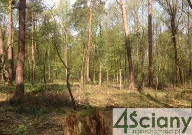 Sękocin-Las, 6 500 000 zł, 1.2 ha, woda w drodze