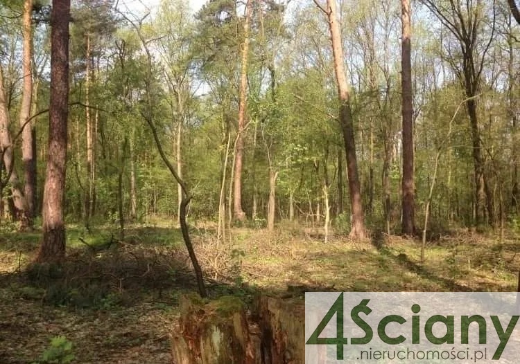 Sękocin-Las, 6 500 000 zł, 1.2 ha, woda w drodze - zdjęcie 1