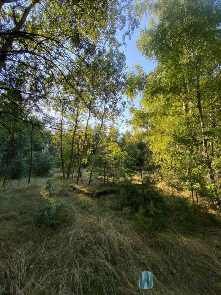 Niemianowice, 120 000 zł, 18 ar, droga dojazdowa utwardzona miniaturka 4