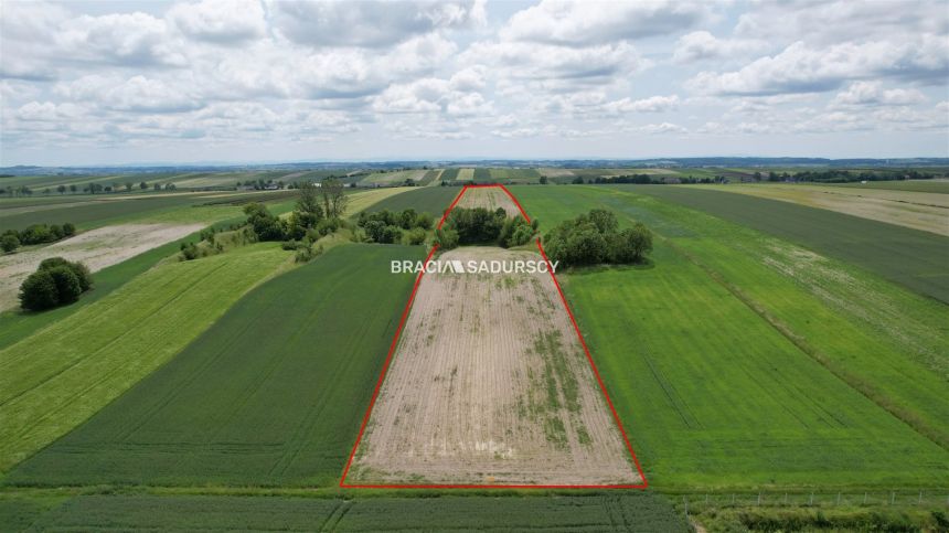 Prandocin-Iły, 287 000 zł, 3.05 ha, rolna miniaturka 8