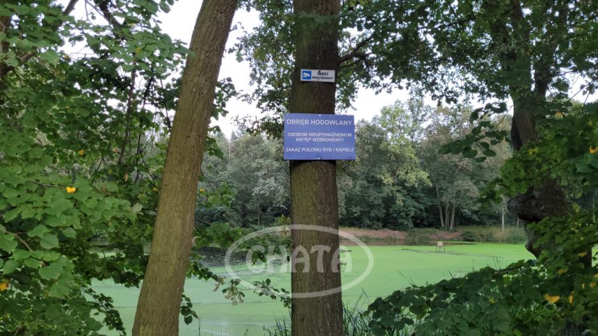 Jastrzębce, 3 608 570 zł, 5.16 ha, przyłącze prądu miniaturka 22