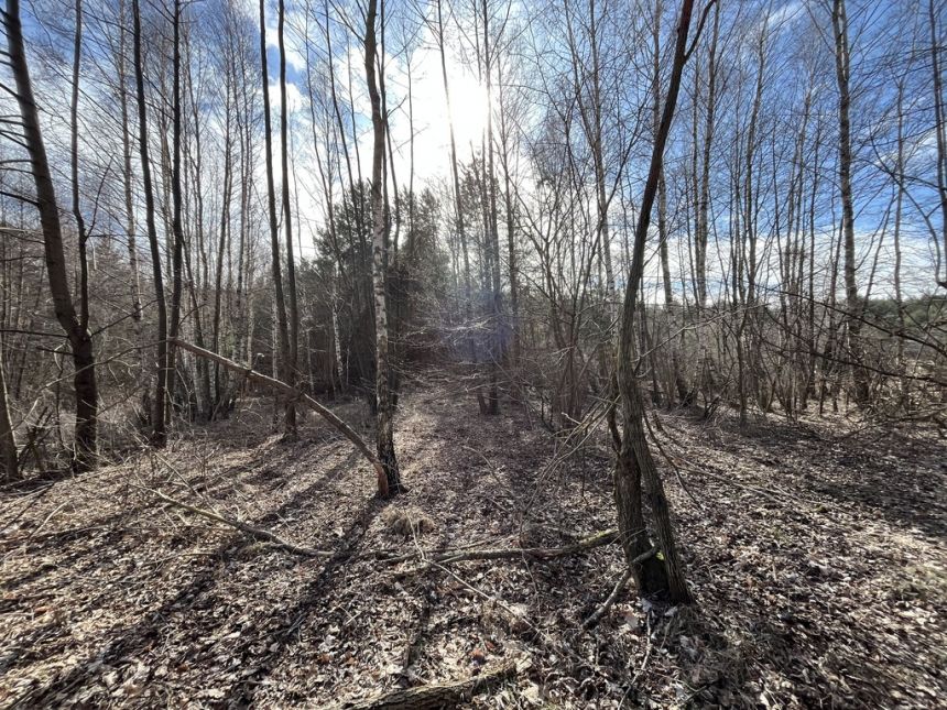 Działka o pow. 2,08 ha w m. Kawęczyn gm. Ciepielów miniaturka 7