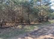Działki budowlane w lesie 25 km od Warszawy miniaturka 5