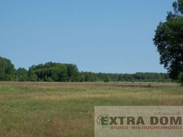 Budno, 207 500 zł, 2 ha, siedliskowa