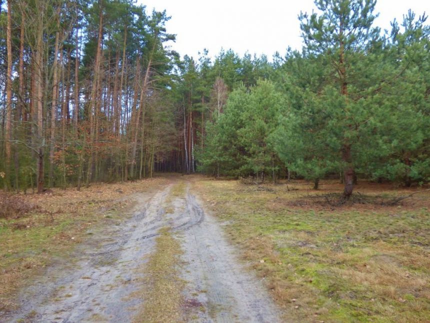 DZIAŁKA 3700 m² WÓLKA ŁEKAWSKA miniaturka 11