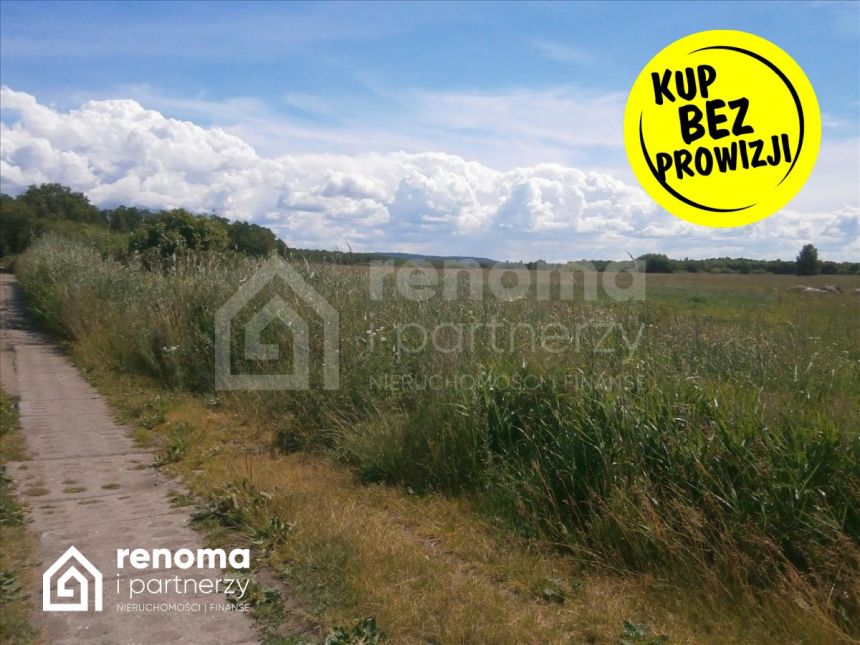 Kleszcze, 339 800 zł, 33.98 ar, droga dojazdowa utwardzona miniaturka 5
