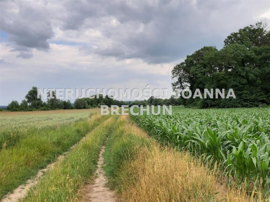 Strzegomiany, 100 000 zł, 50 ar, rolna miniaturka 2