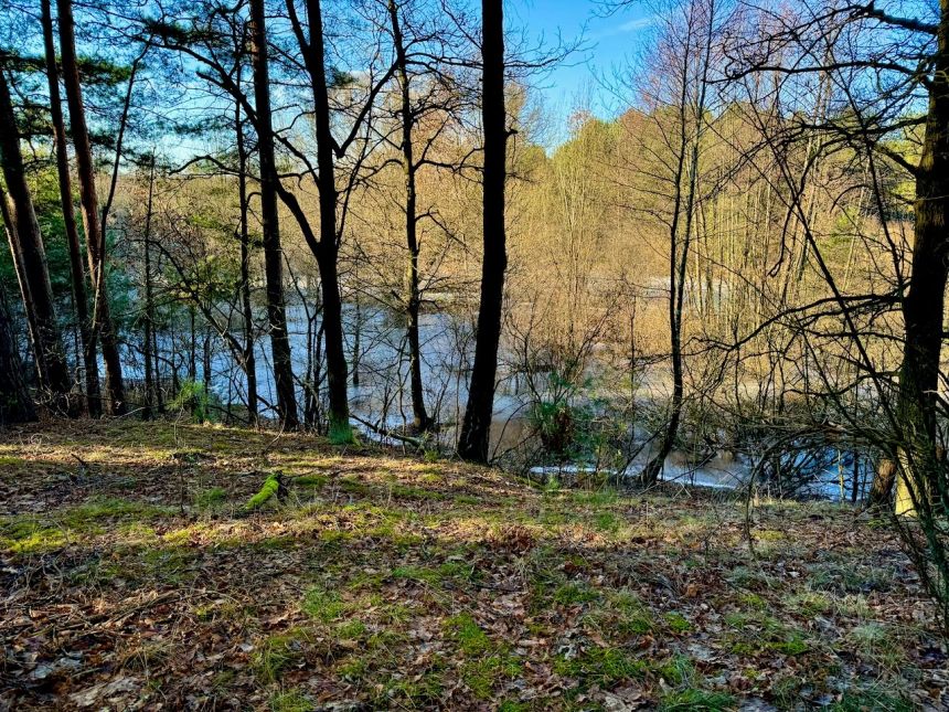 Działka leśna nad Pilicą-Ostrów gm. Aleksandrów miniaturka 18