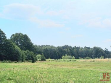 Solniczki, 560 000 zł, 28 ar, prostokątna