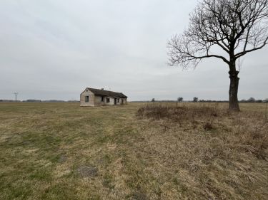 Działka rolno-bud. w Czarnolesie gm. Policzna.