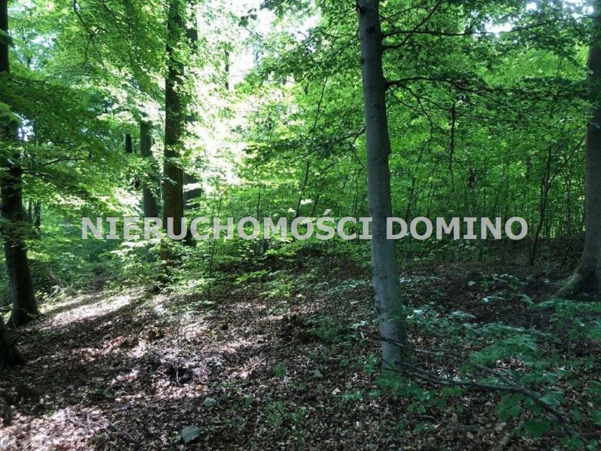 Dobra, 42 000 zł, 5.01 ar, woda w drodze miniaturka 2