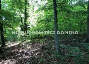 Dobra, 42 000 zł, 5.01 ar, woda w drodze miniaturka 2