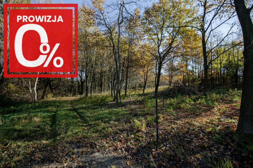 Działka budowlana- Koszyce Wielkie miniaturka 4