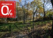 Działka budowlana- Koszyce Wielkie miniaturka 4