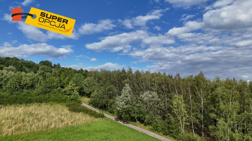 Odrzykoń 215 000 zł 37.56 ar miniaturka 5