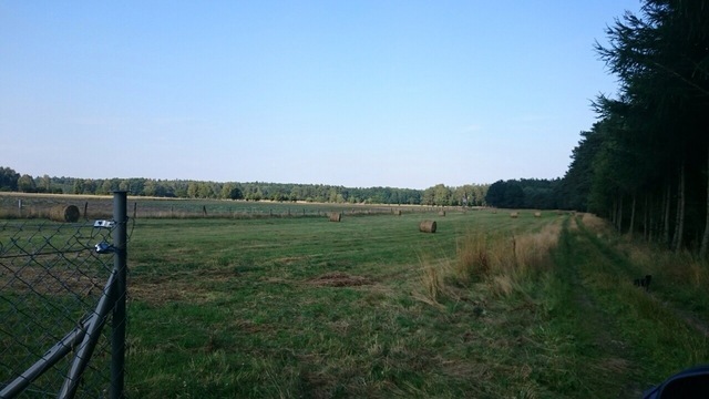 DZIAŁKA POW. 3372 M2 PRZYBIERNÓW. miniaturka 3