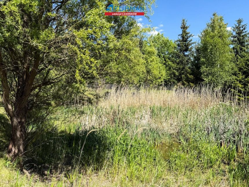Dzierżążno Wielkie, 680 000 zł, 210 m2, do wykończenia miniaturka 39