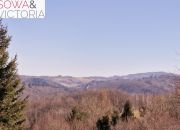 1,2 ha z warunkami zabudowy, pod lasem miniaturka 7
