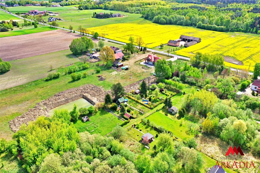 Działka ROD-Ośmiałkowo,Lipno miniaturka 5
