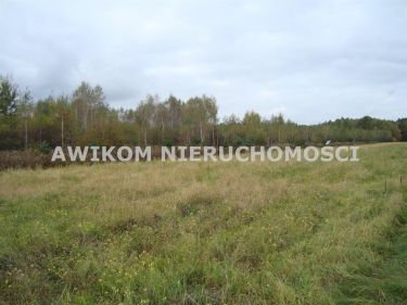 Zawodne, 762 000 zł, 1.62 ha, rolna z prawem zabudowy