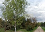 Przy Puszczy, budowlana, idealna na 2lokalowiec miniaturka 1