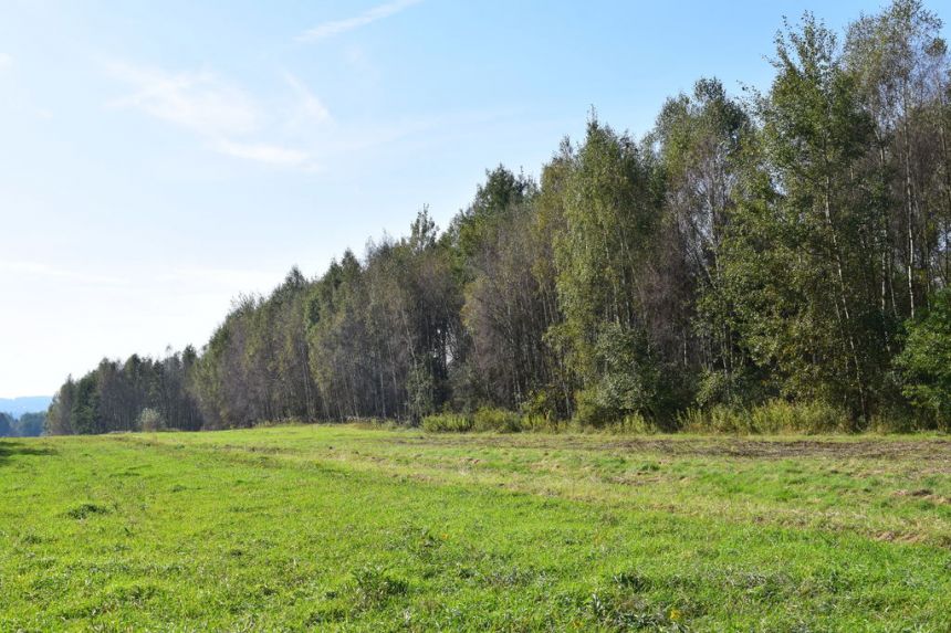 Działki budowlane 7.5a-7.98a - Bratkowice miniaturka 6