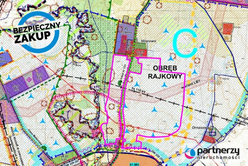 Pelplin, 20 000 000 zł, 21.12 ha, droga dojazdowa asfaltowa miniaturka 9