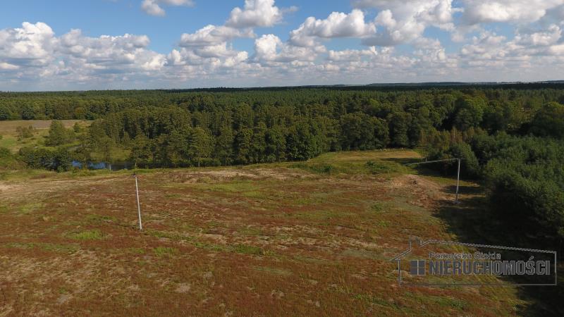 Działki nad rzeką Gwda w Lubnicy, gm. Okonek. miniaturka 12