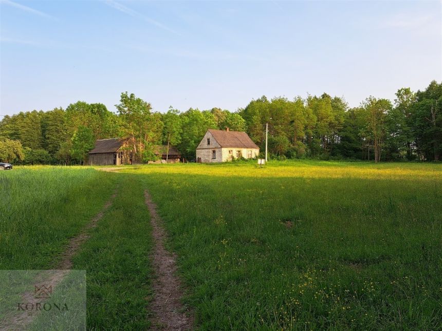 Działka nad  jeziorem Dreństwo o pow. 4504 m2 miniaturka 8