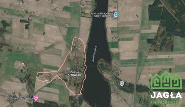 Dziłki w pierwszej lini brzegowej Zalesie Królews.