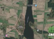 Dziłki w pierwszej lini brzegowej Zalesie Królews. miniaturka 1